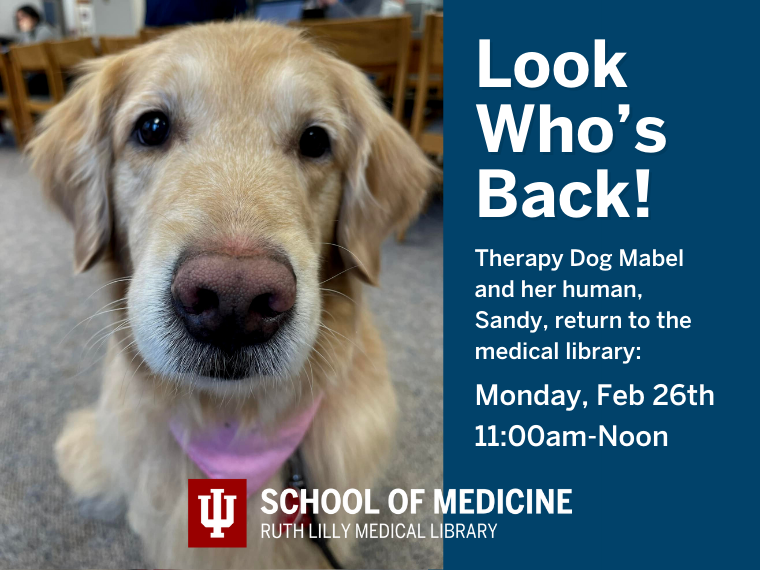 Mabel's Back! Come visit Mabel and Sandy on Monday, February 26th from 11-noon in the RLML first floor entryway.